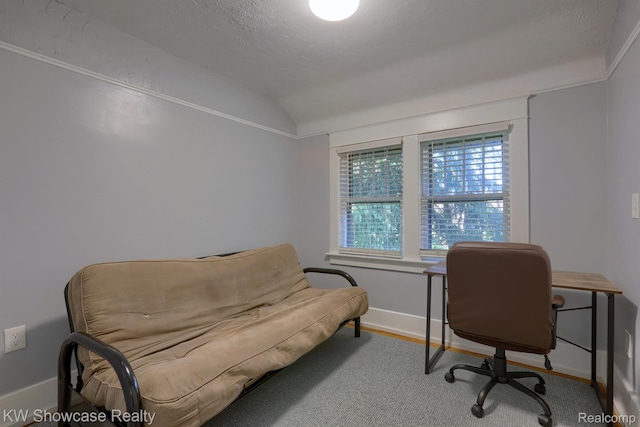 1828 N Lafayette Ave, Royal Oak, MI 48073 - office with vaulted ceiling and baseboards