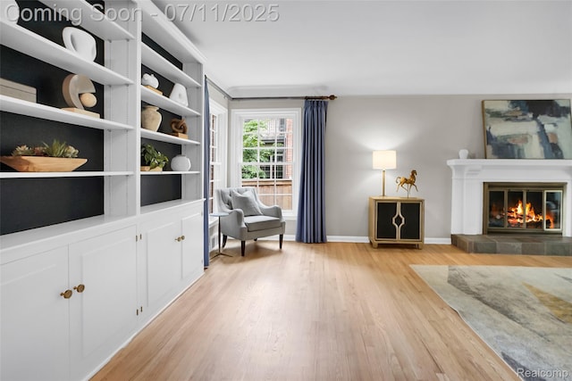 425 Fairfax St, Birmingham, MI 48009 - living area featuring light wood-style flooring and a glass covered fireplace