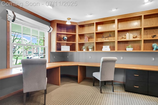 425 Fairfax St, Birmingham, MI 48009 - carpeted home office with built in desk