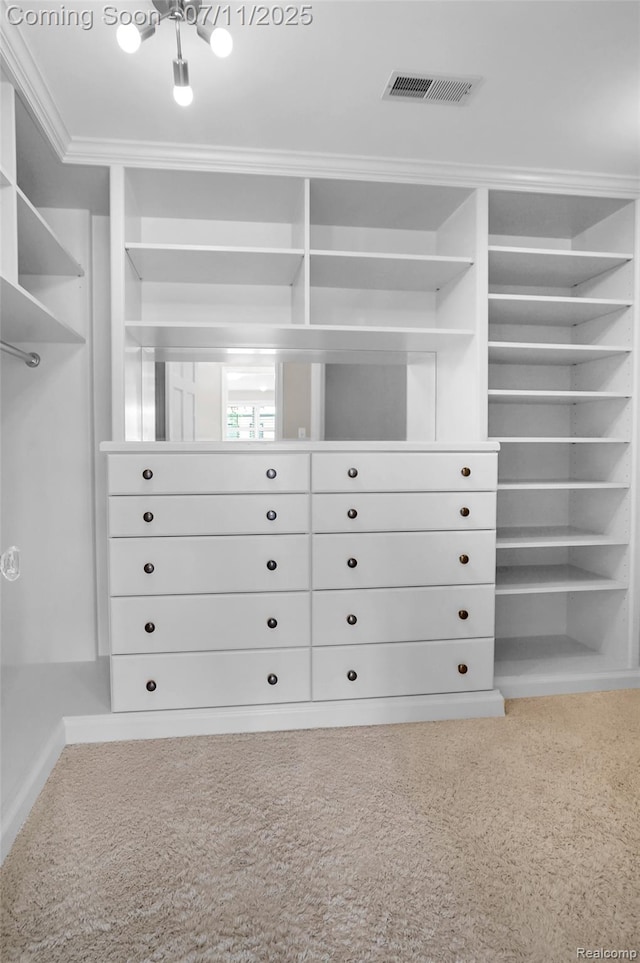 425 Fairfax St, Birmingham, MI 48009 - spacious closet with carpet floors