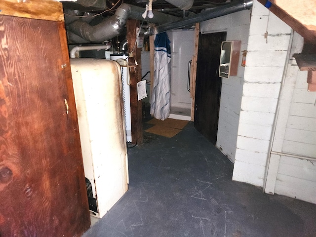 1110 Watkins St SE, Grand Rapids, MI 49507 - view of unfinished basement