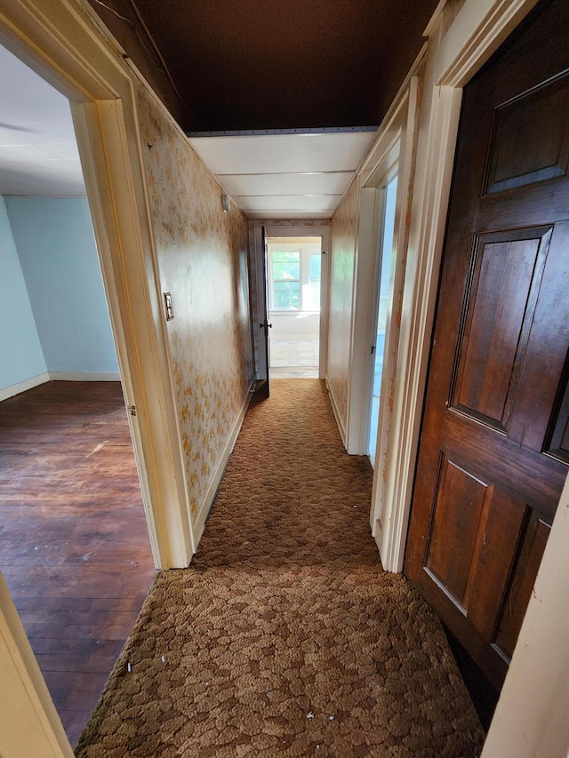 1110 Watkins St SE, Grand Rapids, MI 49507 - corridor with baseboards and wood finished floors
