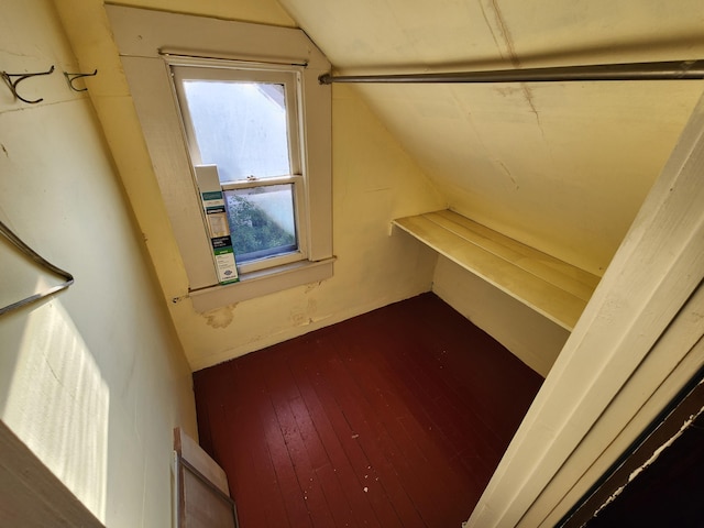 1110 Watkins St SE, Grand Rapids, MI 49507 - spacious closet with lofted ceiling and dark wood-style flooring