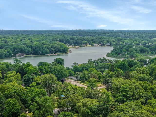 5674 Brunswick Blvd, Waterford, MI 48327 - drone / aerial view of a nearby body of water