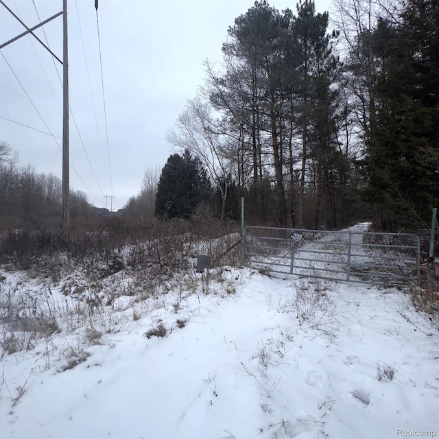 14108 Sheridan Rd, Montrose, MI 48457 - view of snowy yard