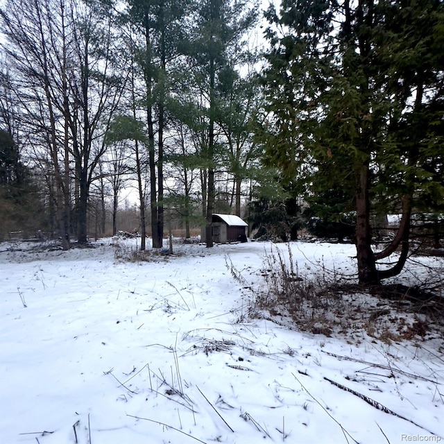 14108 Sheridan Rd, Montrose, MI 48457 - yard covered in snow with a storage shed
