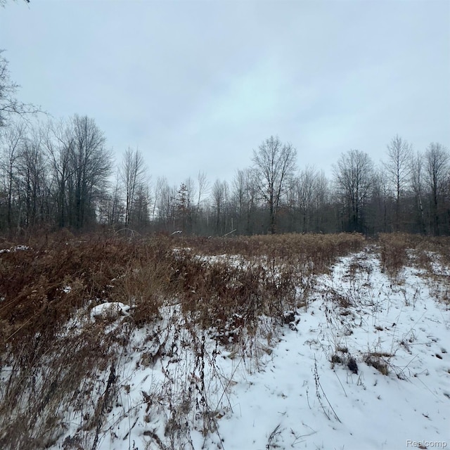 14108 Sheridan Rd, Montrose, MI 48457 - snowy landscape