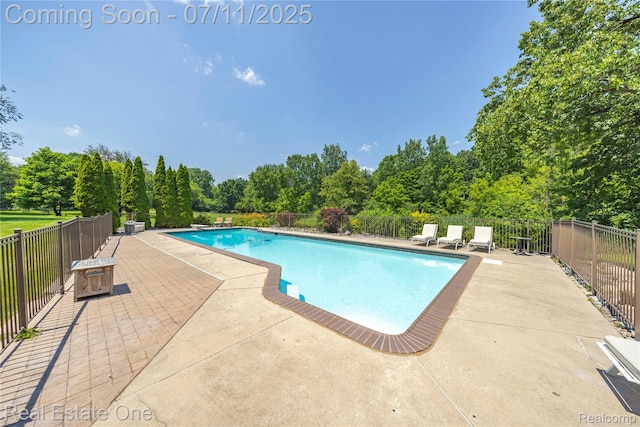 25740 Farmbrook Rd, Southfield, MI 48034 - view of pool with a patio area and view of wooded area