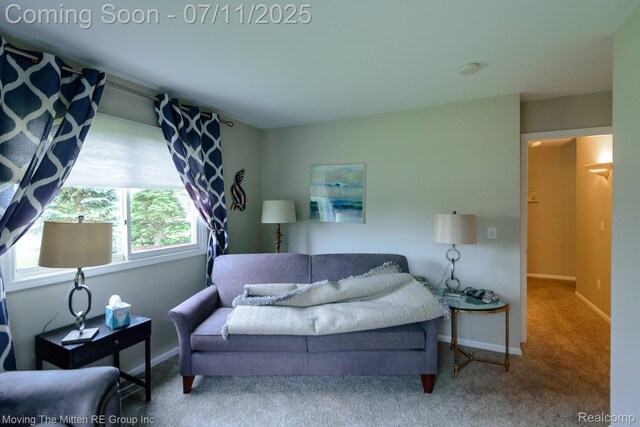 61001 Evergreen Ct, South Lyon, MI 48178 - living room with carpet floors and baseboards