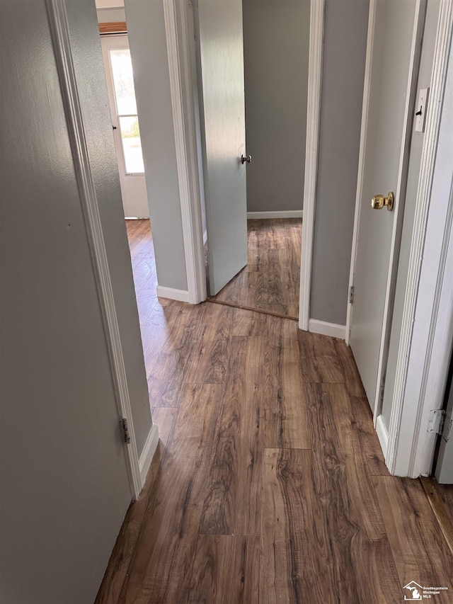 6114 Hazel St, Taylor, MI 48180 - hall with wood finished floors and baseboards