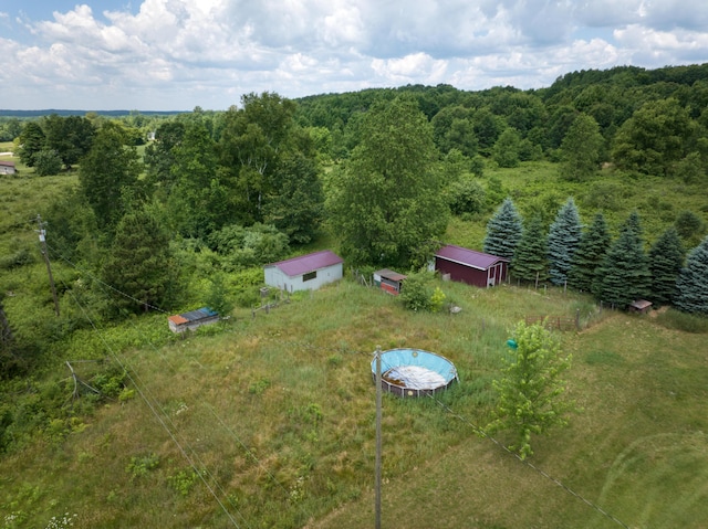 4180 15 Mile Rd, Barryton, MI 49305 - aerial view of a forest