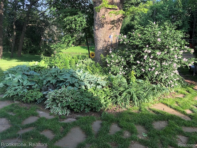 3845 Beechcrest, Rochester Hills, MI 48309 - view of undeveloped land