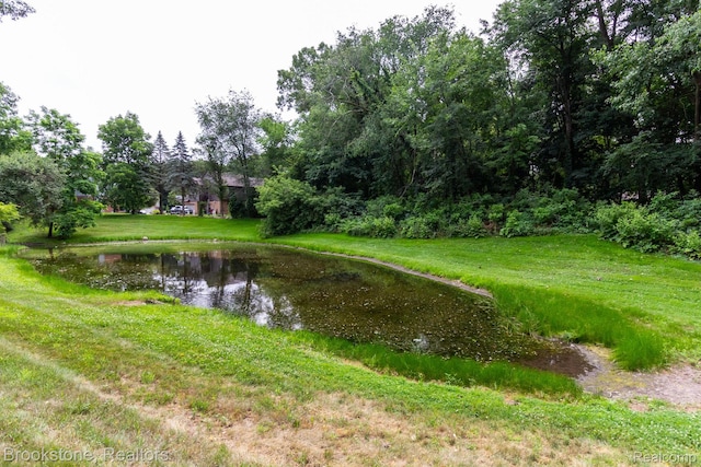 3845 Beechcrest, Rochester Hills, MI 48309 - water view