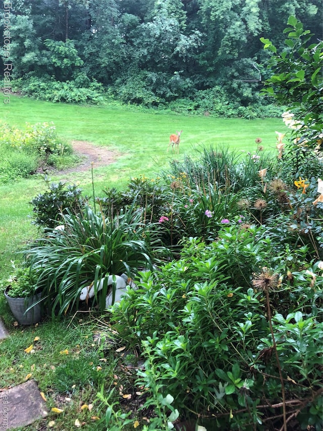 3845 Beechcrest, Rochester Hills, MI 48309 - view of grassy yard