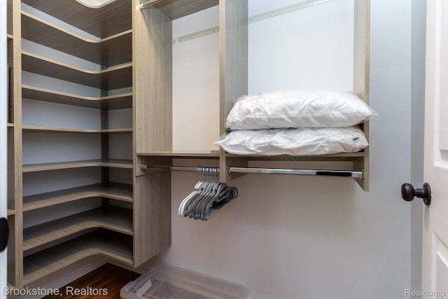 3845 Beechcrest, Rochester Hills, MI 48309 - view of walk in closet