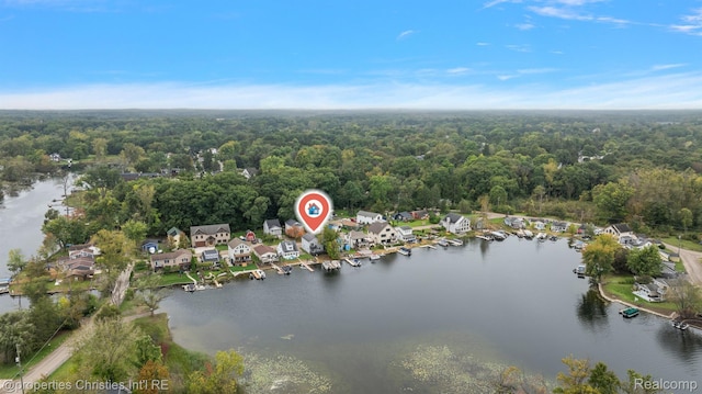 8873 Lagoon Dr, Brighton, MI 48116 - aerial view of property and surrounding area featuring a forest and a nearby body of water