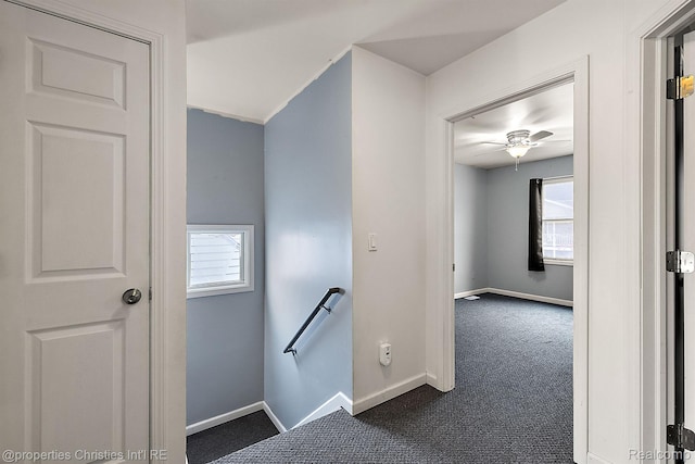 8873 Lagoon Dr, Brighton, MI 48116 - hallway with an upstairs landing, dark carpet, and plenty of natural light