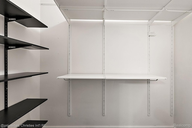 8873 Lagoon Dr, Brighton, MI 48116 - view of walk in closet