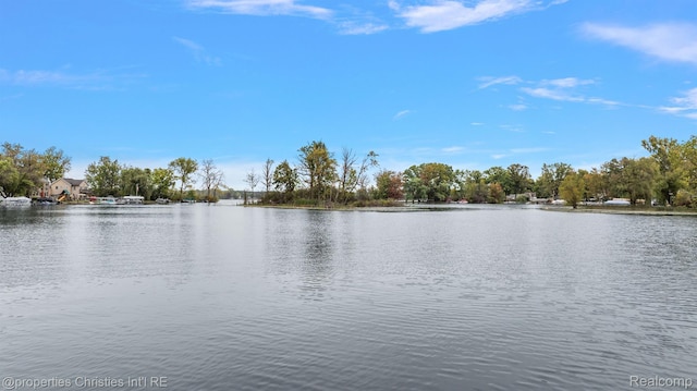 8873 Lagoon Dr, Brighton, MI 48116 - water view