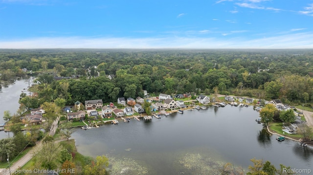 8873 Lagoon Dr, Brighton, MI 48116 - view of property location featuring a heavily wooded area and a large body of water