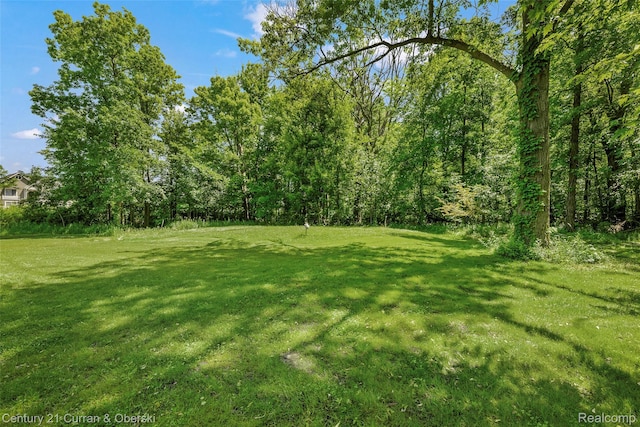 45055 Mcbride Ave, Van Buren, MI 48111 - view of green lawn