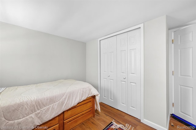 45055 Mcbride Ave, Van Buren, MI 48111 - bedroom with wood finished floors and a closet