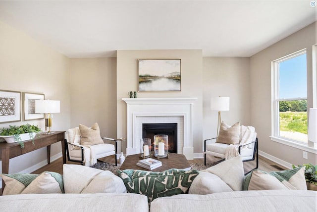 9088 N 34th St, Richland, MI 49083 - living room with plenty of natural light, wood finished floors, and a fireplace