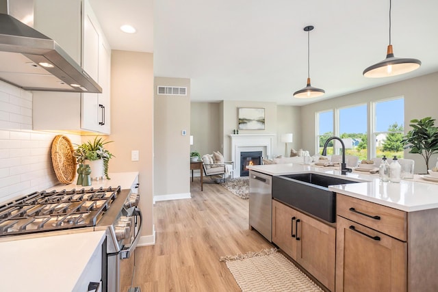 9088 N 34th St, Richland, MI 49083 - kitchen with wall chimney range hood, stainless steel appliances, decorative backsplash, light wood finished floors, and a glass covered fireplace