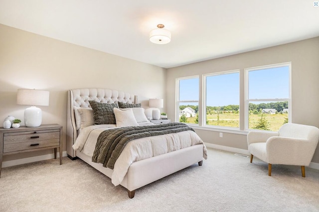 9088 N 34th St, Richland, MI 49083 - bedroom with light colored carpet