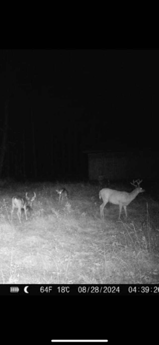 6059 E Stonington Aa.5 Rd, Rapid River, MI 49878 - photo 12