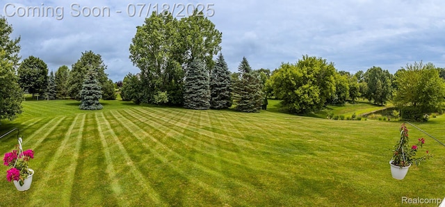 2019 Mayfair Dr, White Lake, MI 48383 - photo 53