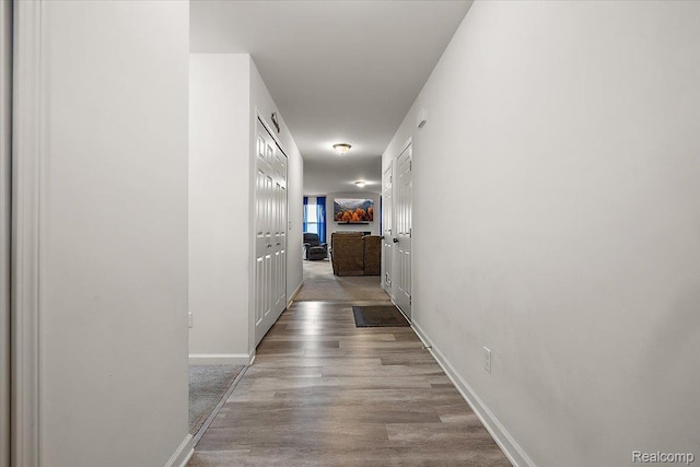 58565 Westmoore Cir, New Haven, MI 48048 - hall with baseboards and wood finished floors