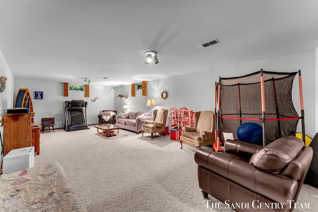 15071 Steves Dr, Grand Haven, MI 49417 - living room featuring carpet floors and a wood stove