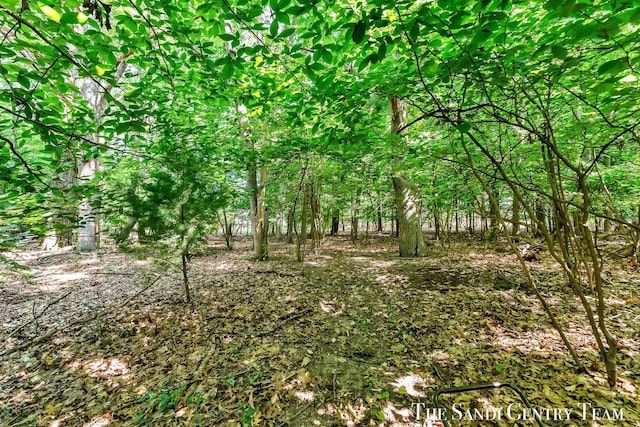 15071 Steves Dr, Grand Haven, MI 49417 - view of undeveloped land