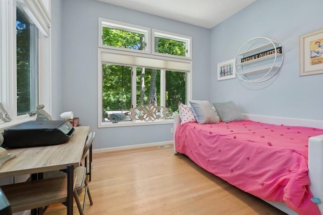 613 Indian Trl, Sawyer, MI 49125 - bedroom featuring light wood-style flooring and baseboards