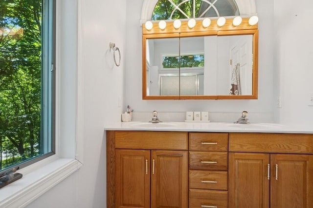 613 Indian Trl, Sawyer, MI 49125 - bathroom with double vanity