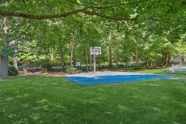 613 Indian Trl, Sawyer, MI 49125 - view of basketball court with a yard and basketball hoop