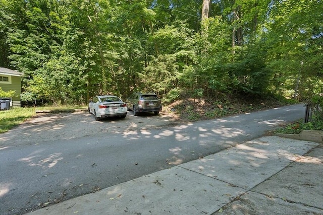 613 Indian Trl, Sawyer, MI 49125 - view of parking featuring a view of trees