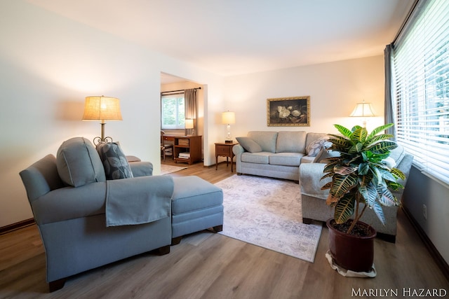 2934 Meadowbrook Dr SE, Grand Rapids, MI 49546 - living room with wood finished floors