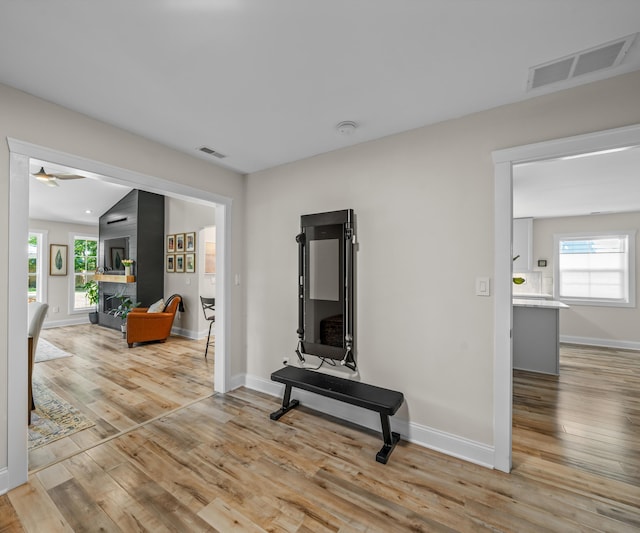 820 Barton Dr, Ann Arbor, MI 48105 - living room featuring light wood-style flooring, plenty of natural light, and ceiling fan