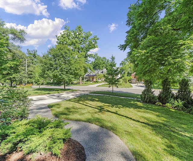 820 Barton Dr, Ann Arbor, MI 48105 - view of grassy yard