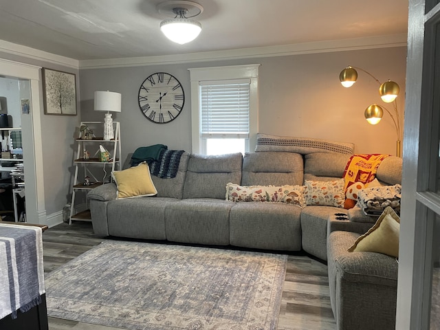 33 Abbott Ave, Coldwater, MI 49036 - living area featuring wood finished floors and crown molding