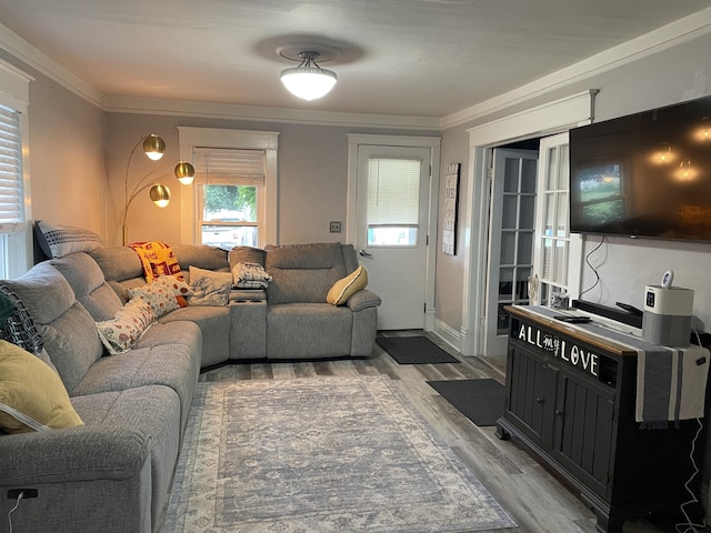 33 Abbott Ave, Coldwater, MI 49036 - living room featuring wood finished floors and ornamental molding