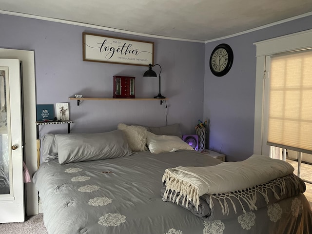 33 Abbott Ave, Coldwater, MI 49036 - bedroom with crown molding and carpet flooring