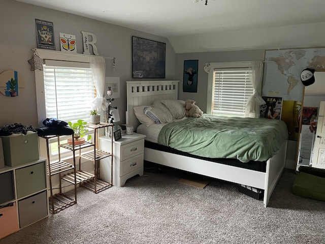 33 Abbott Ave, Coldwater, MI 49036 - carpeted bedroom with multiple windows and lofted ceiling
