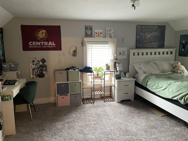 33 Abbott Ave, Coldwater, MI 49036 - bedroom featuring light carpet and lofted ceiling