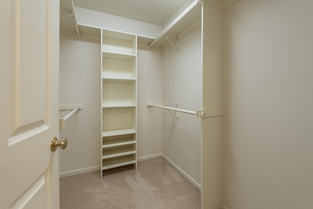 1544 Newport Creek Dr, Ann Arbor, MI 48103 - spacious closet with carpet