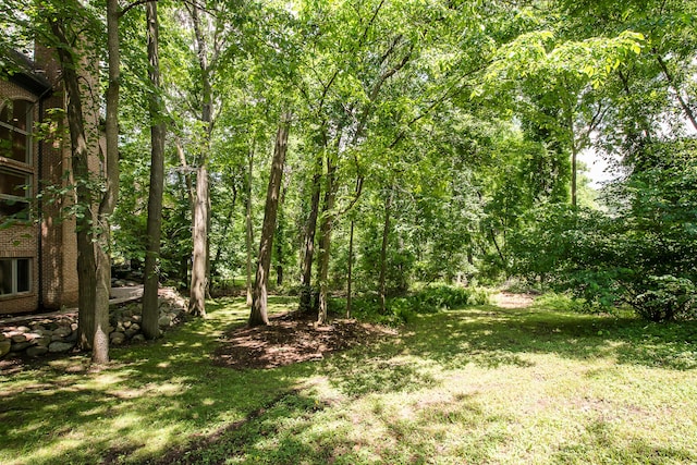1544 Newport Creek Dr, Ann Arbor, MI 48103 - view of green lawn