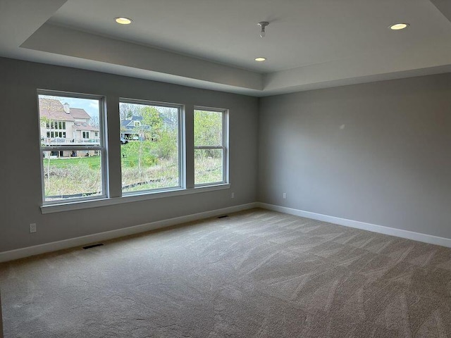 3490 Mare Cir, Wixom, MI 48393 - spare room with a raised ceiling, plenty of natural light, carpet flooring, and recessed lighting