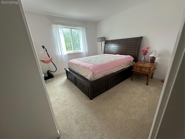 33555 Birchlawn, Westland, MI 48185 - bedroom with light colored carpet and baseboards